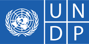 undp-logo- rectangle