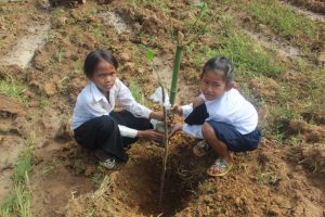 2022 LRP AAC children school trees 3